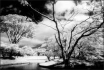Cokin P Series Infrared Filter P007