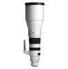 Sigma 300-600mm F4 DG OS S Sony E-Mount Fit
