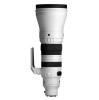 Sigma 300-600mm F4 DG OS S Sony E-Mount Fit