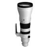 Sigma 300-600mm F4 DG OS S Sony E-Mount Fit